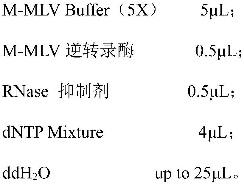 Method for creating low-nicotine tobacco mutant by knocking out NtBBLs by using CRISPR/Cas9 and application of low-nicotine tobacco mutant