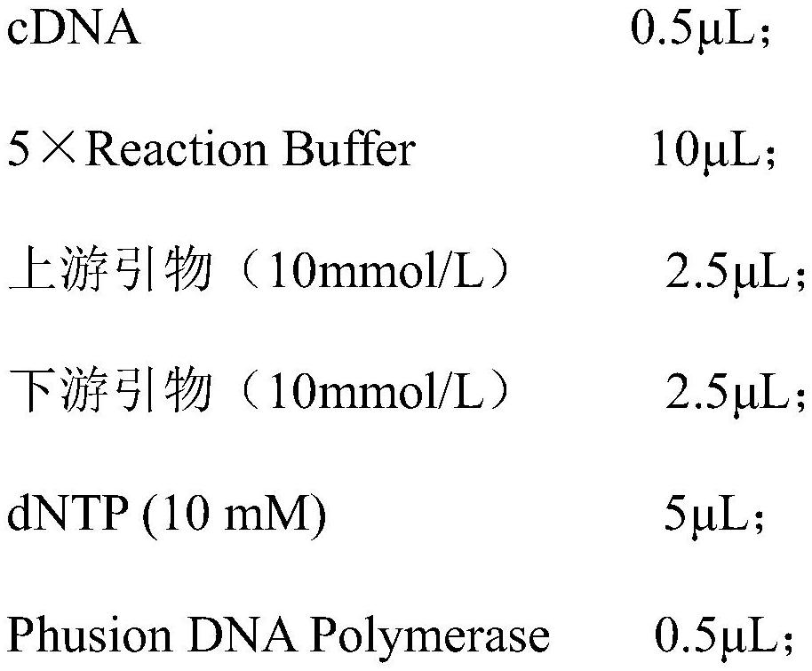 Method for creating low-nicotine tobacco mutant by knocking out NtBBLs by using CRISPR/Cas9 and application of low-nicotine tobacco mutant