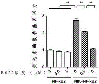 Application of NIK protein kinase inhibitor in serving as medicine for treating liver diseases