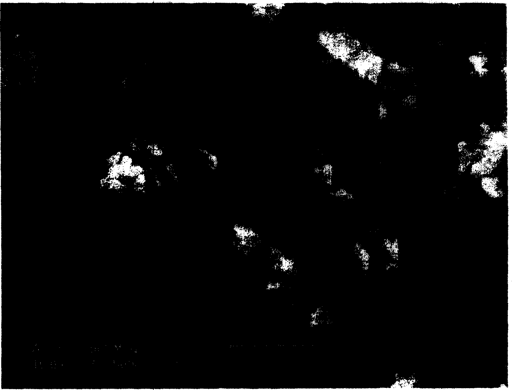 Molecular blotting solid phase microextraction coating preparation method