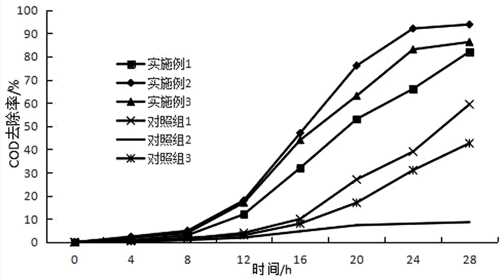 Compound fungicide for nitrogen removal by denitrification, preparation method and application thereof