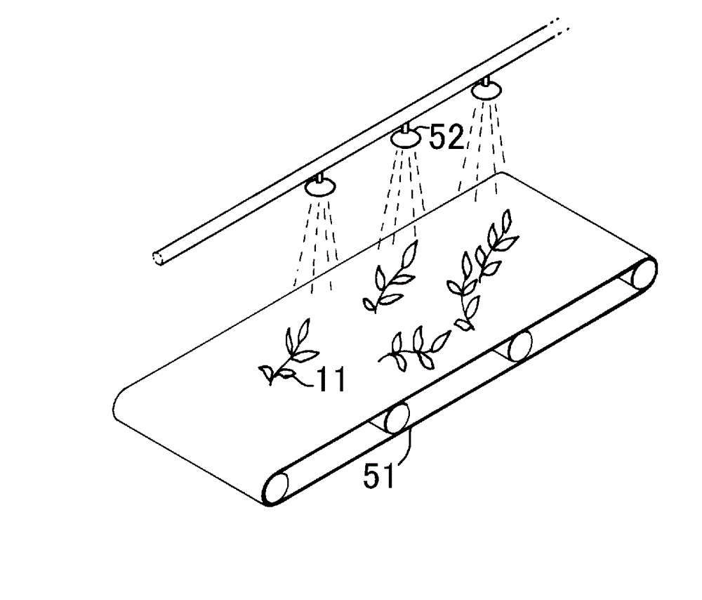 Tea leaf-transporting apparatus