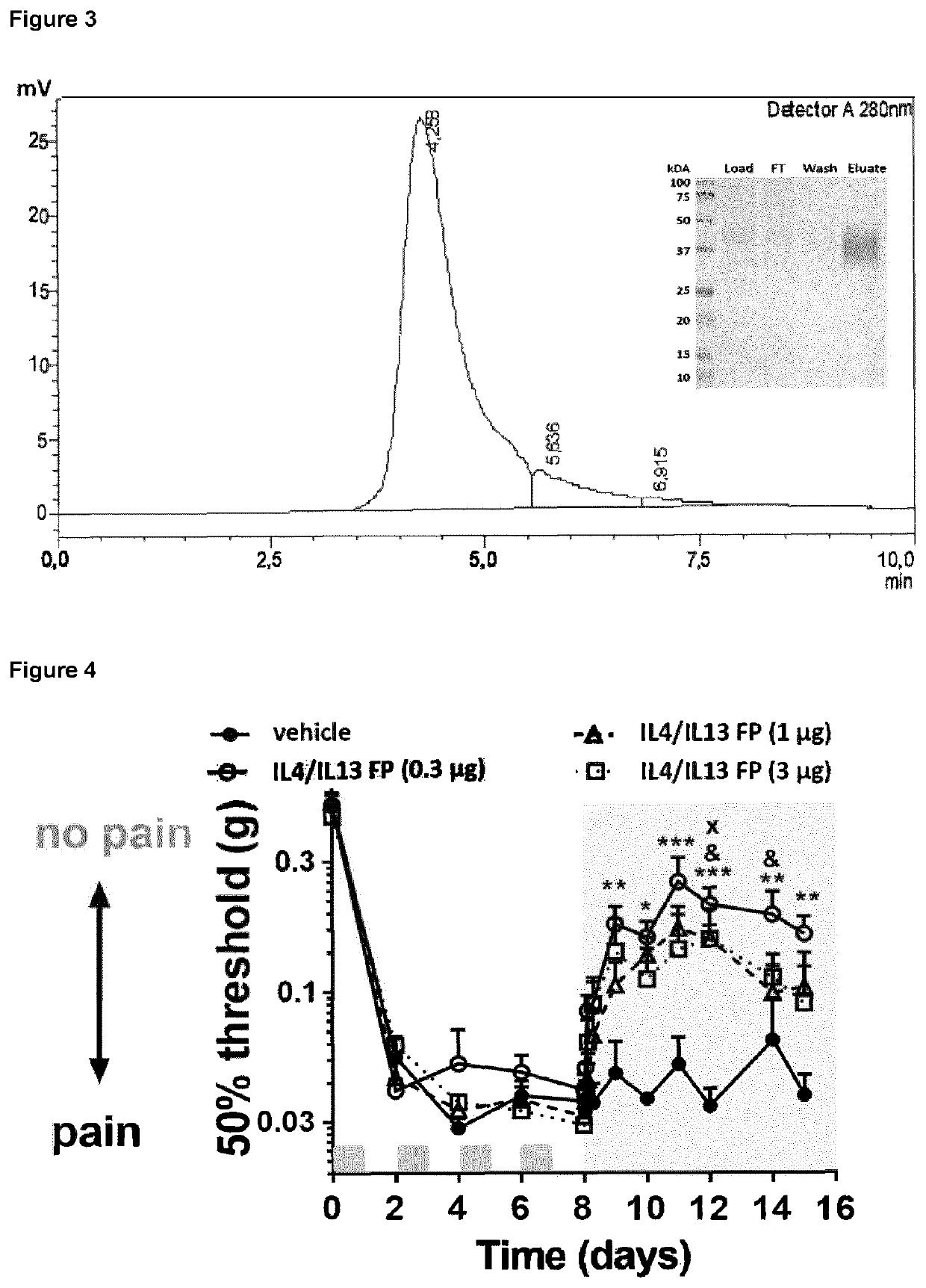 Fusion protein comprising IL13