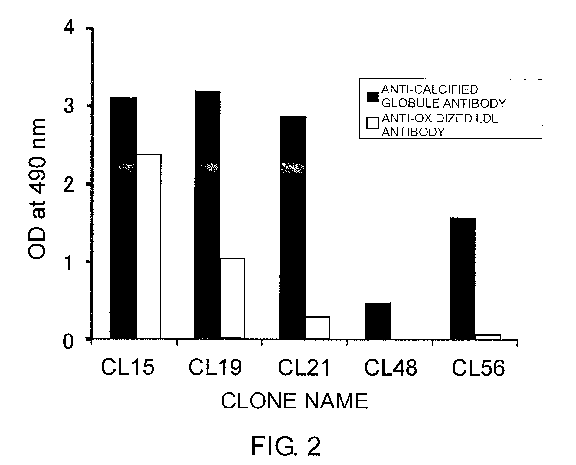 Antibody against calcified globule and use of the same