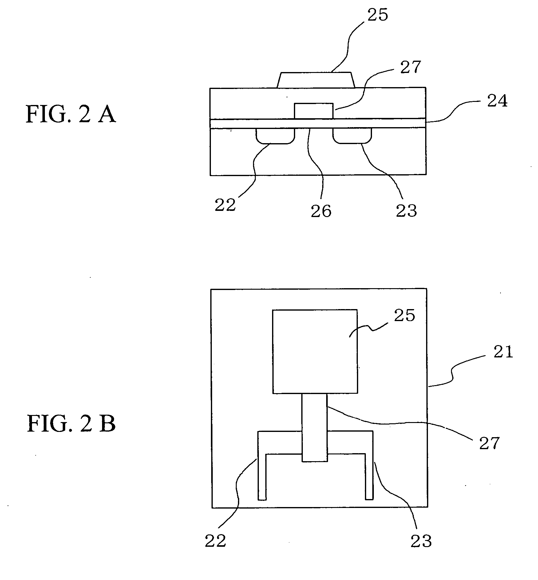 Deoxyribonucleic acid measuring apparatus and method of measuring deoxyribonucleic acid