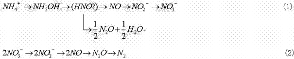 Device for converting nitrite into nitrous oxide for purification and method thereof