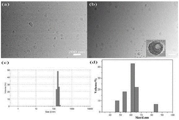 Curcumin hyaluronic acid nano-micelle for treating rheumatoid arthritis as well as preparation method and application thereof