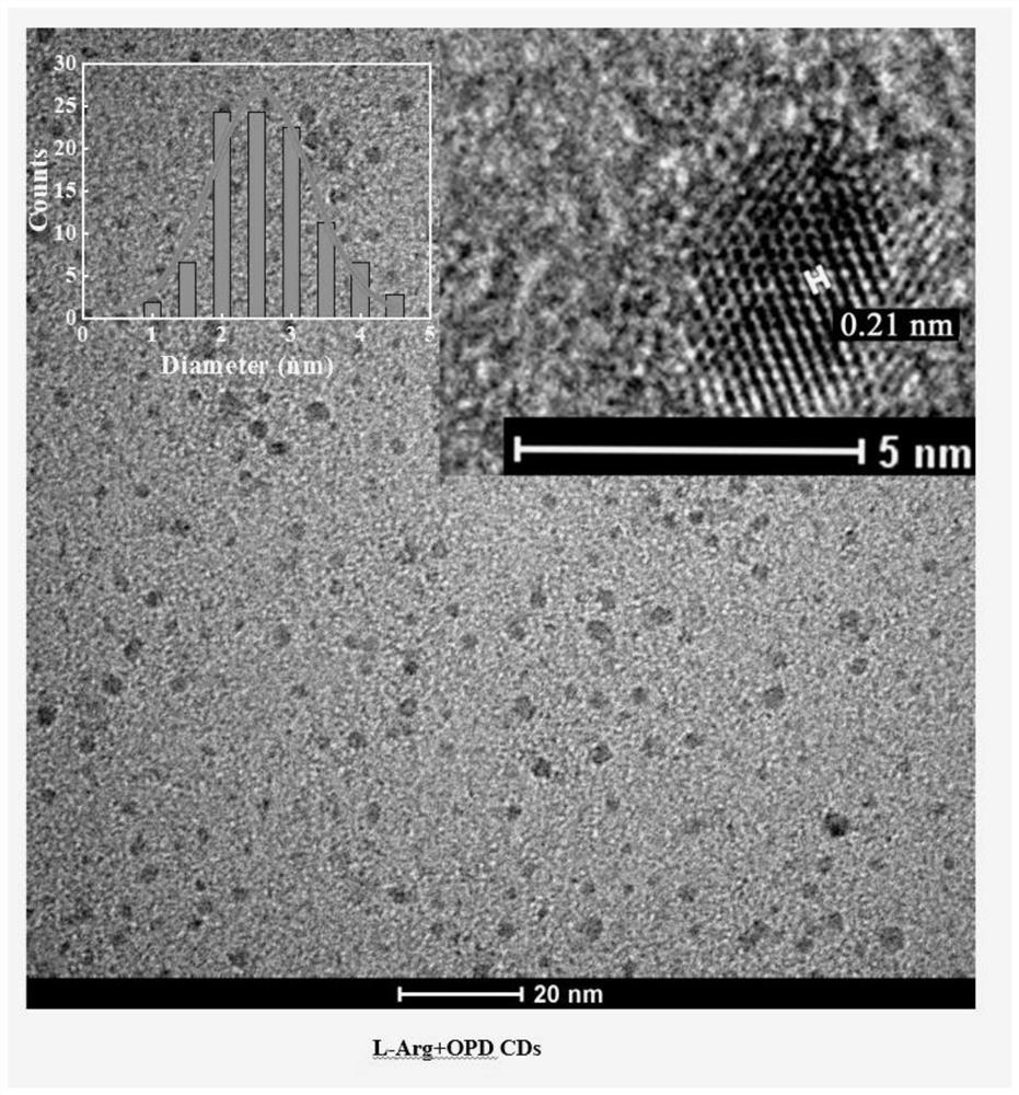 Preparation method of L-arginine-based carbon dots and application of L-arginine-based carbon dots in lemon yellow detection