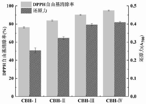 Chicken bone antioxidant peptides and preparation method thereof