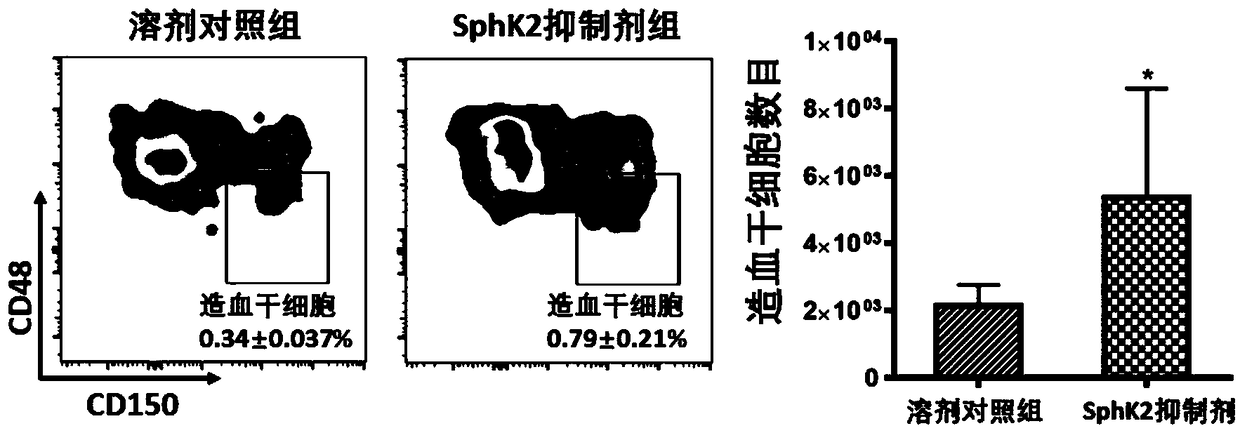 A medicine for treating bone marrow hematopoietic system injury and repairing