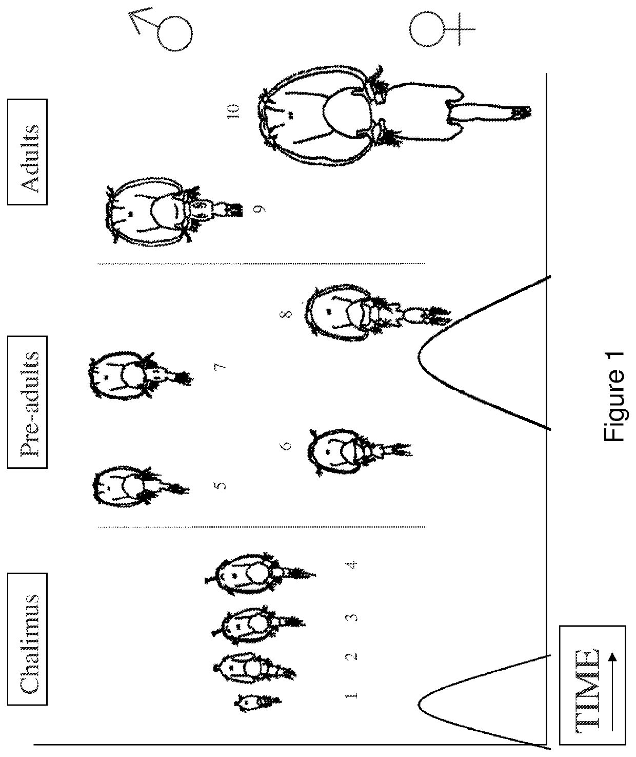 Supplemented fish feed