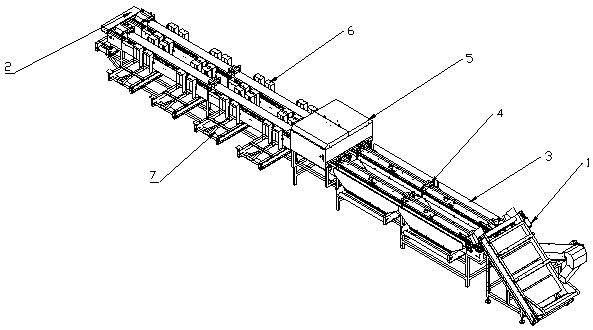 Method of utilizing shapes, sizes and lines to sort dried fruits