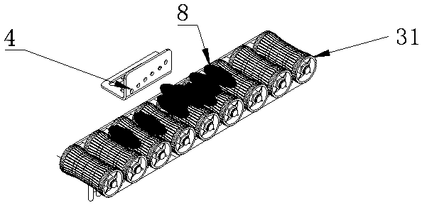 Method of utilizing shapes, sizes and lines to sort dried fruits