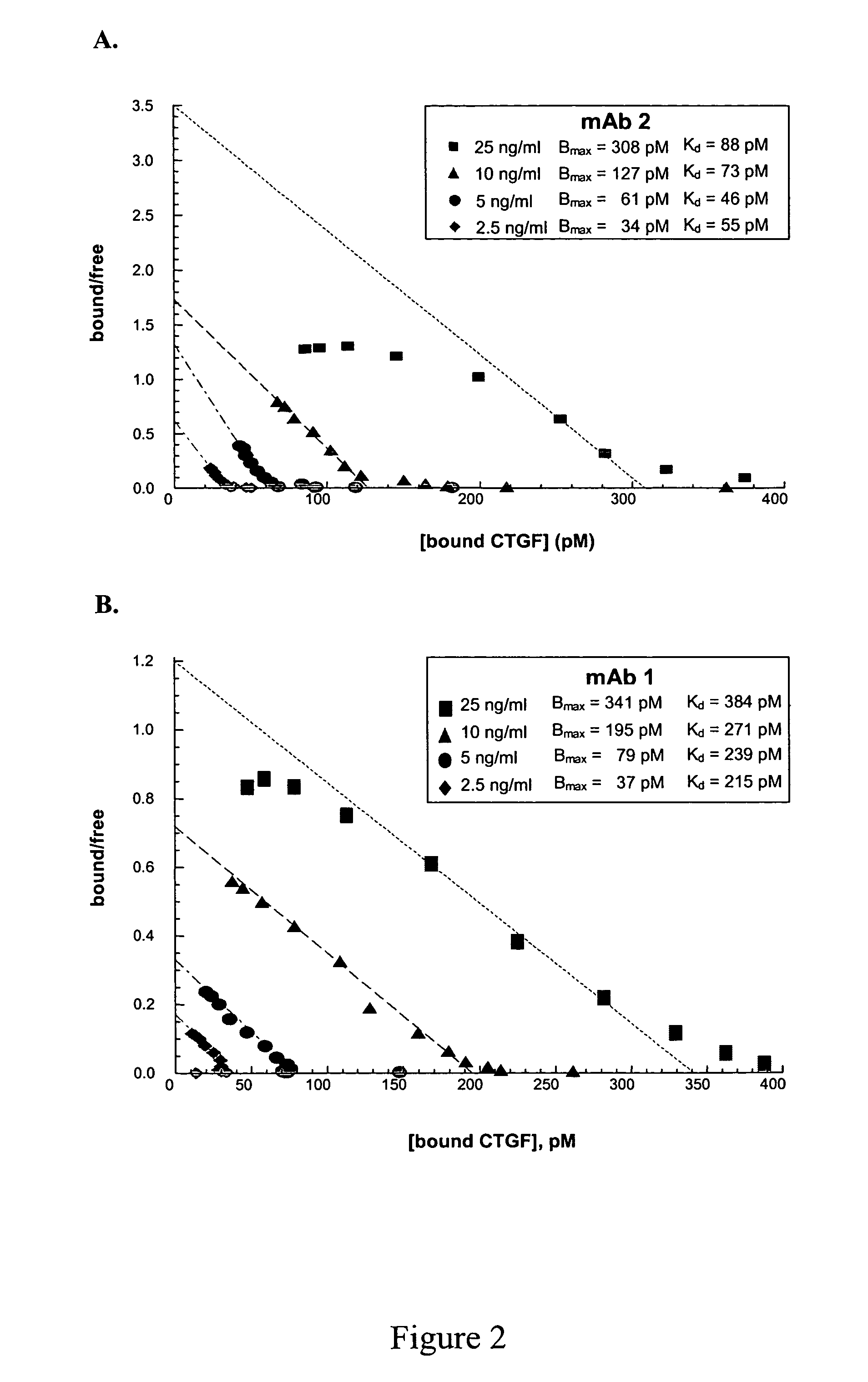 Connective tissue growth factor antibodies