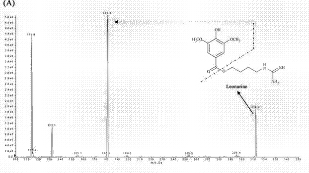 Method for quantitatively detecting content of leonurine in blood plasma