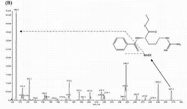 Method for quantitatively detecting content of leonurine in blood plasma