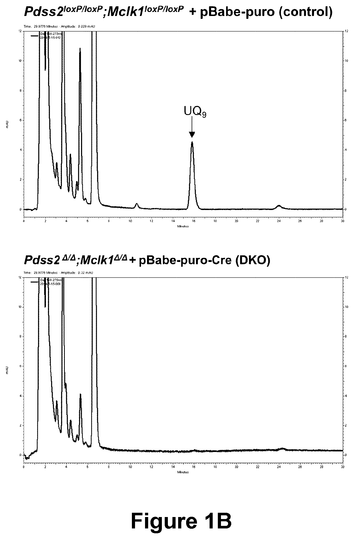 Formulations for improving the delivery of hydrophobic agents