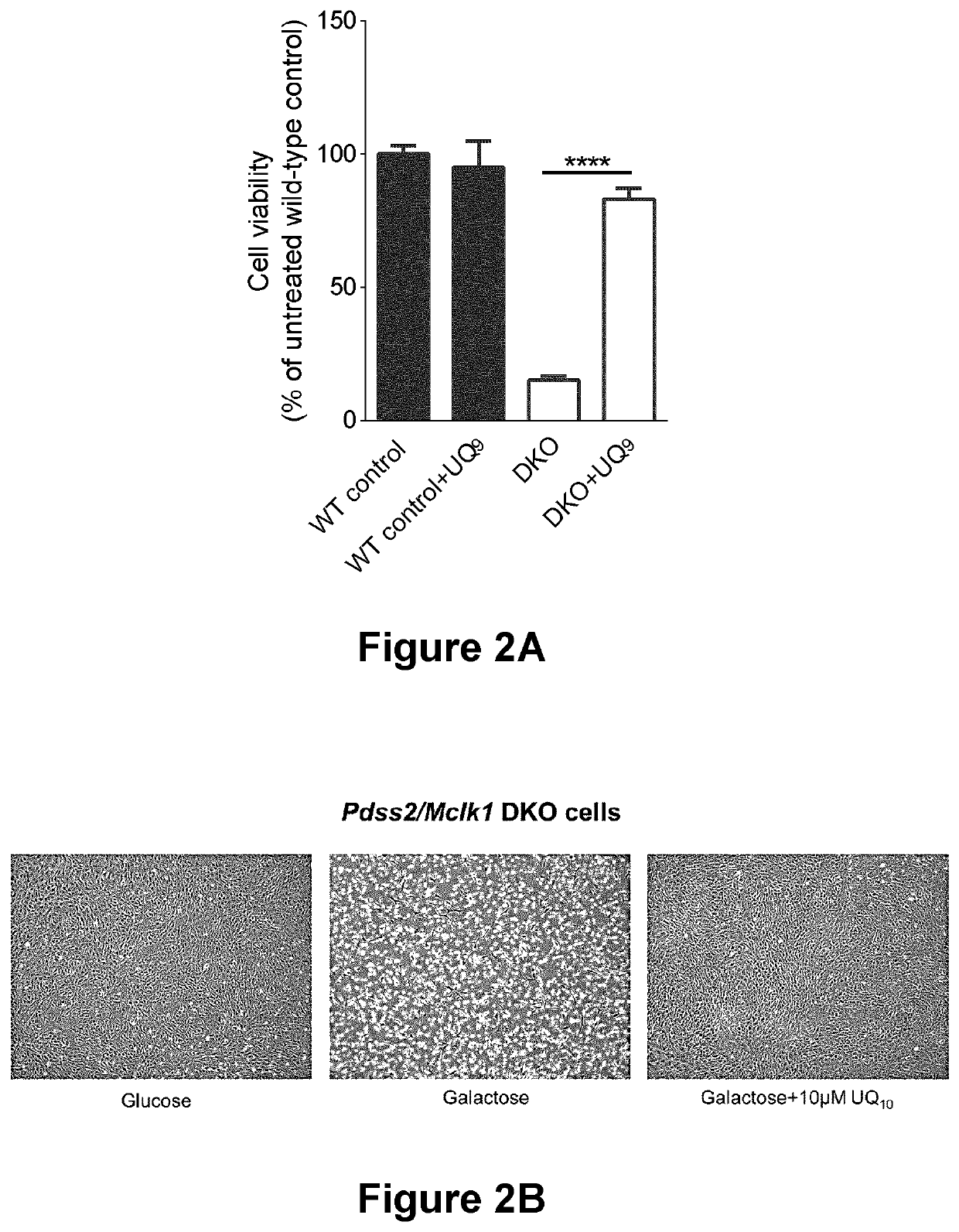 Formulations for improving the delivery of hydrophobic agents