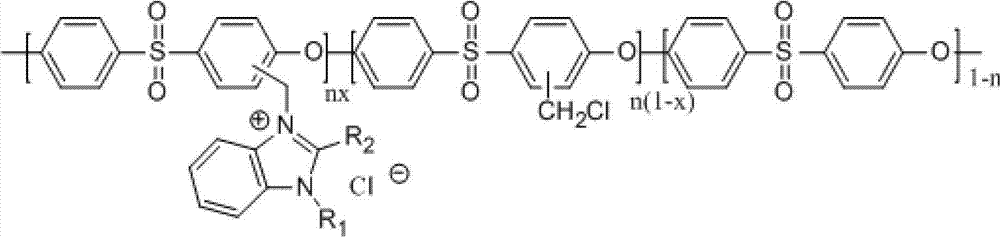 Homogeneous anion exchange membrane and preparation method thereof