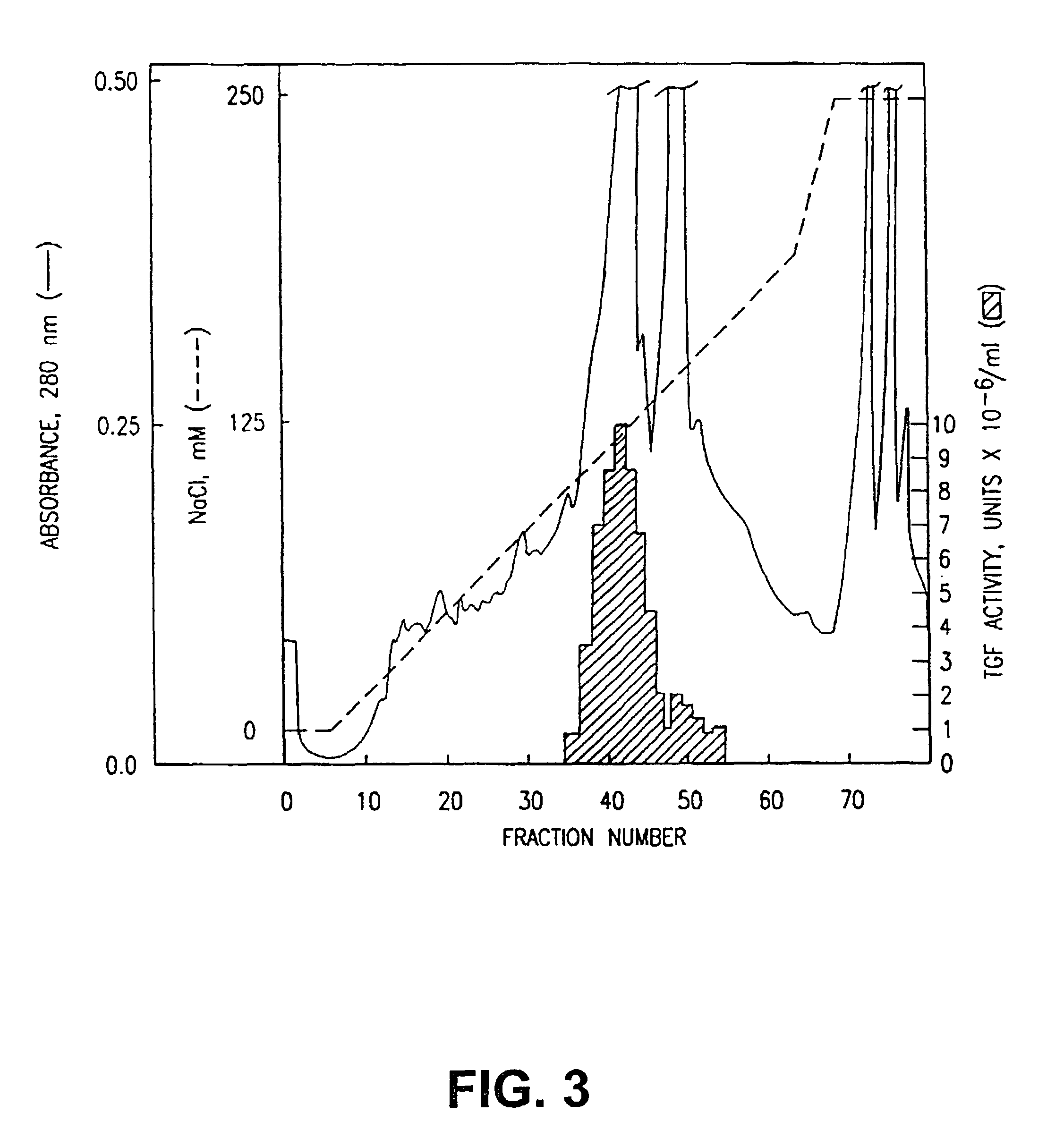 Purification and characterization of cytotoxic lymphocyte maturation factor and monoclonal antibodies thereto