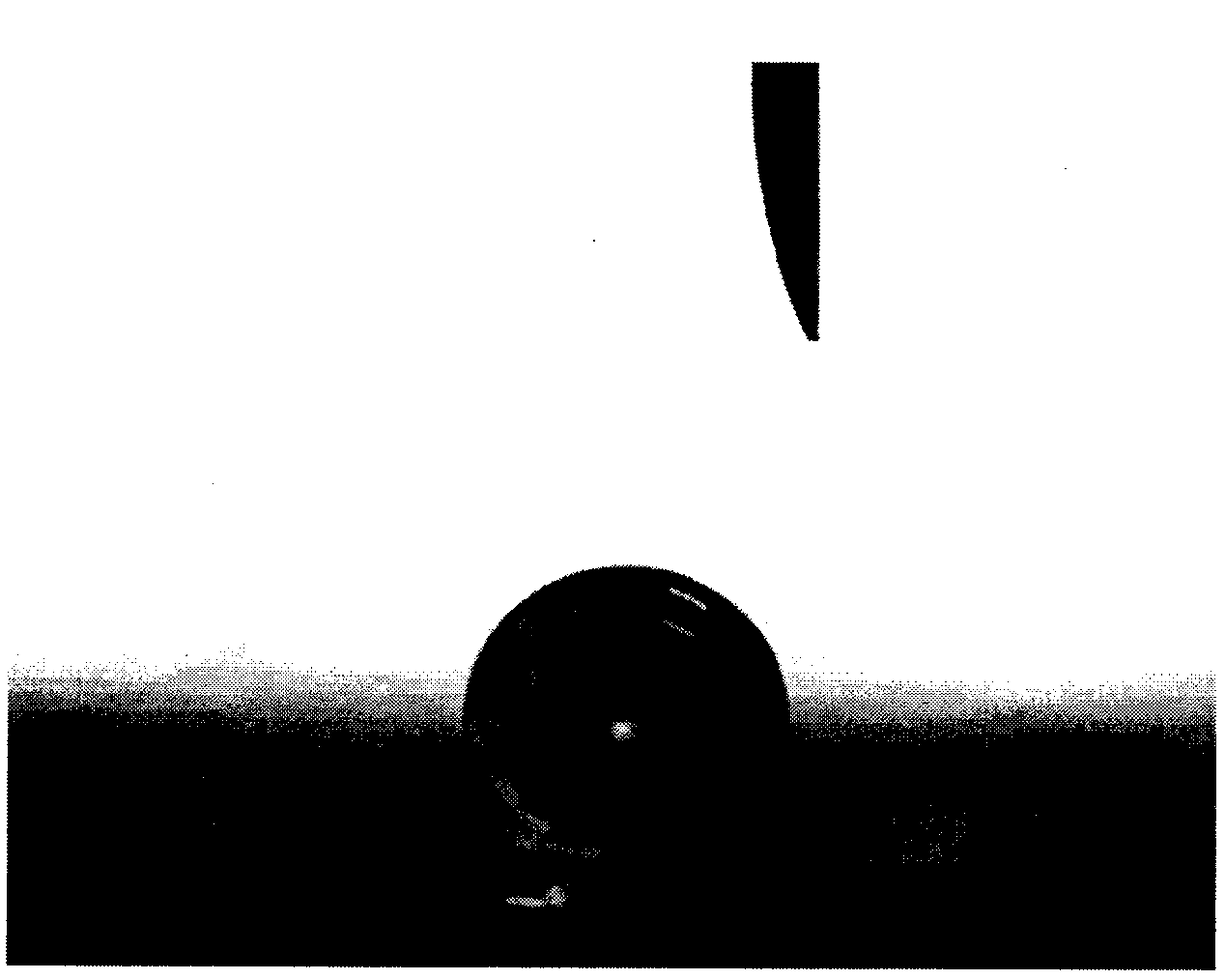 Silicon carbide nanowire hydrophobic coating and preparation method thereof