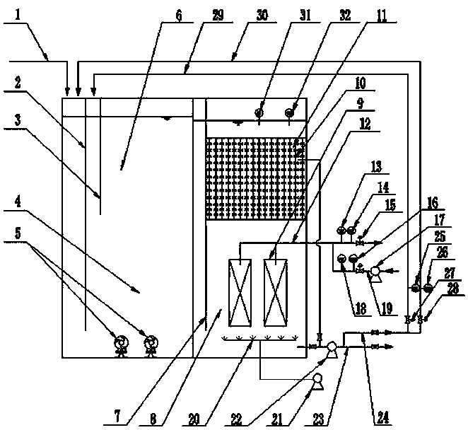 Intensive nitrogen-phosphorus removing membrane biological reaction device and sewage treatment method