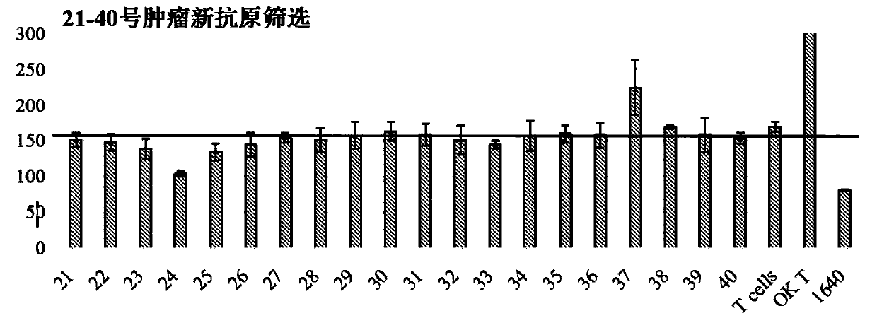 A combination of lung cancer antigens and its application, cytotoxic T lymphocytes