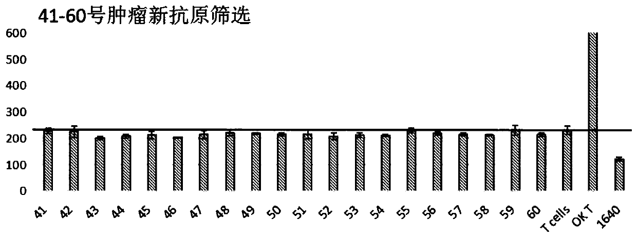 A combination of lung cancer antigens and its application, cytotoxic T lymphocytes