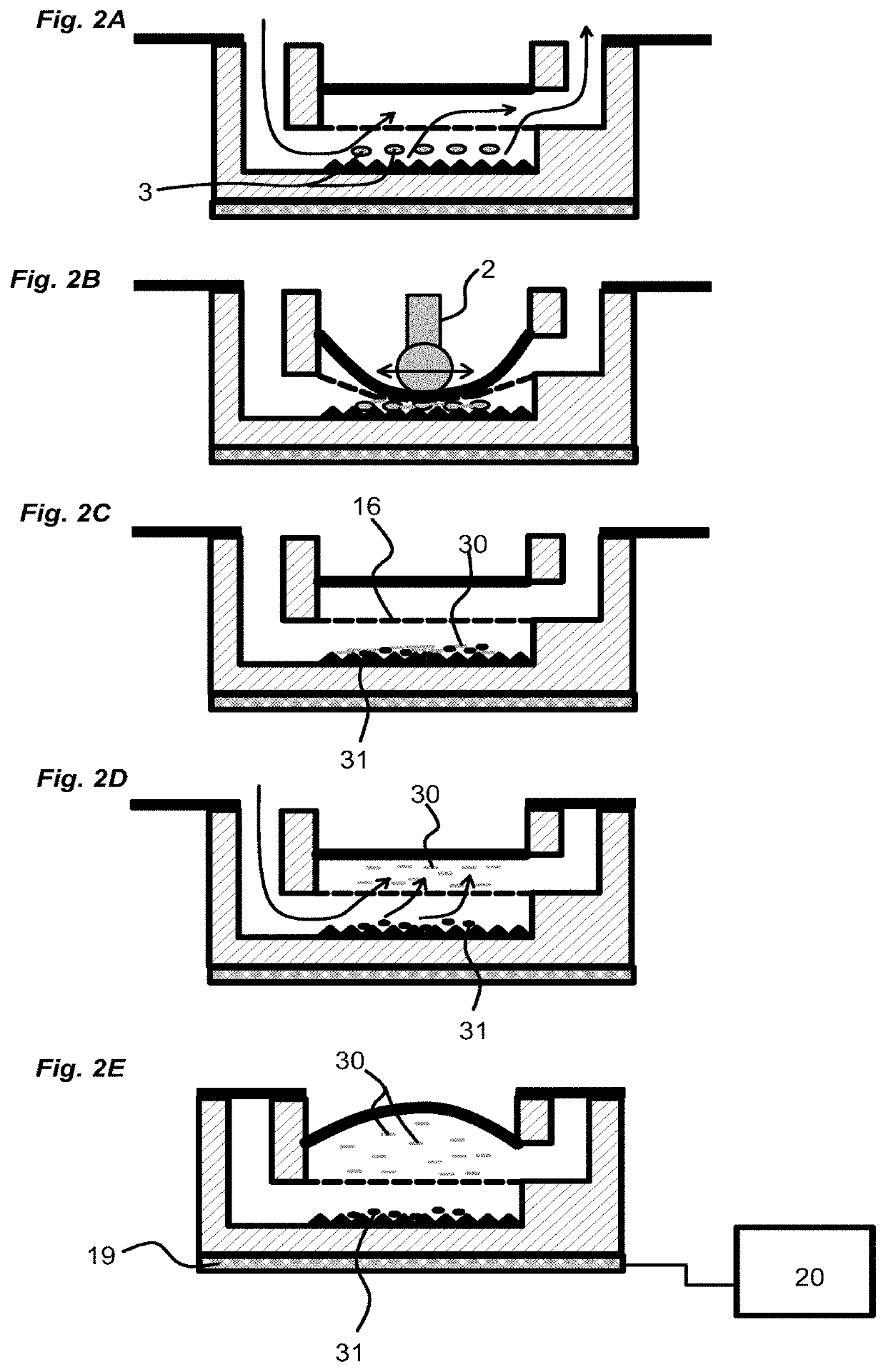 Device for analyzing a biological sample