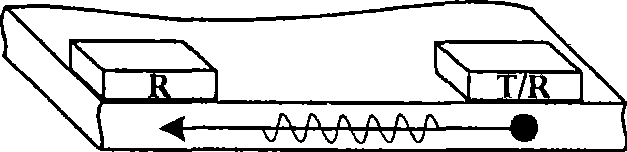 Steel plate automatic detection method and apparatus thereof based on electromagnetical ultrasonic SH wave technology