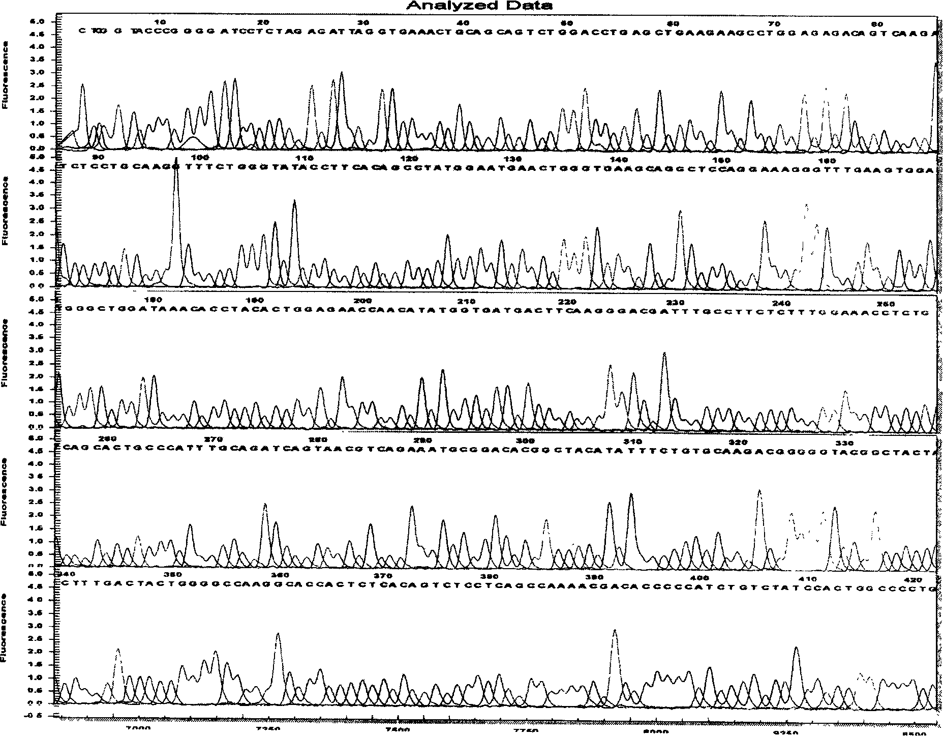 Monoclonal antibody CAb-1 heavy and light chain variable region gene of human carcinoma of large intestine, and its uses