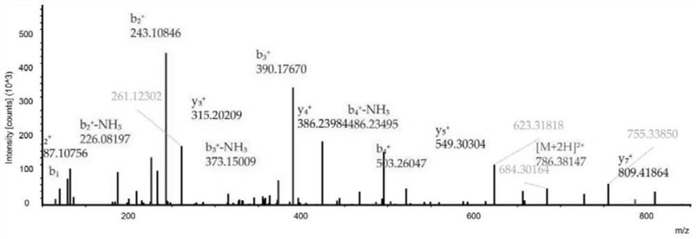 A kind of immunoactive peptide in fermented milk and its enrichment method and application