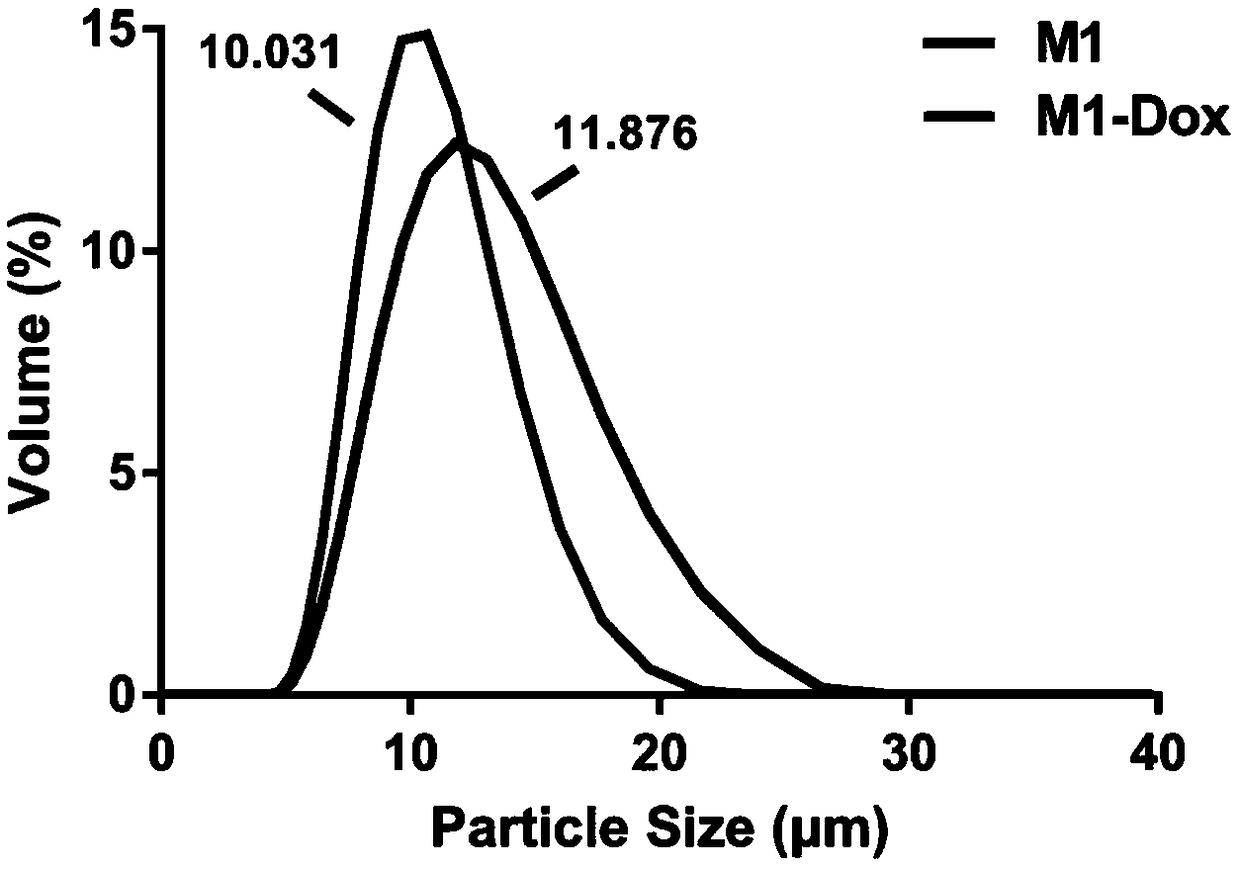 Macrophage drug-loading preparation and preparation method thereof