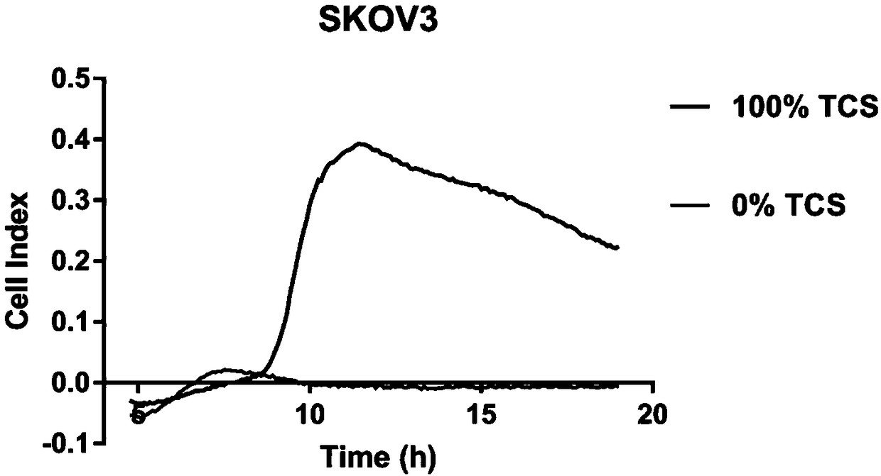 Macrophage drug-loading preparation and preparation method thereof