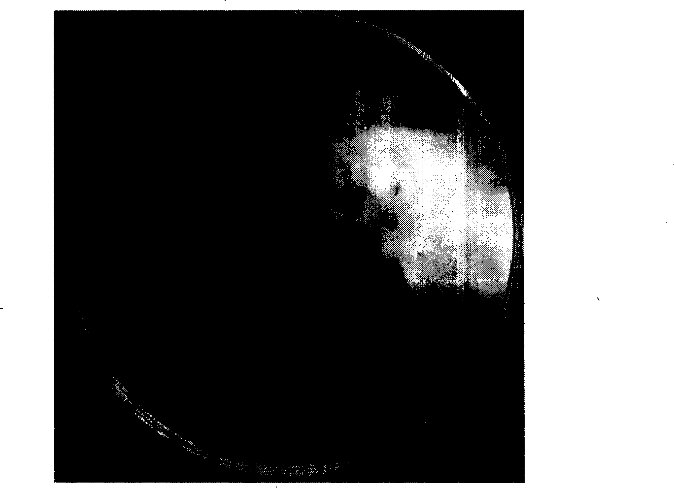 Radix astragali seed agent and clothing method thereof