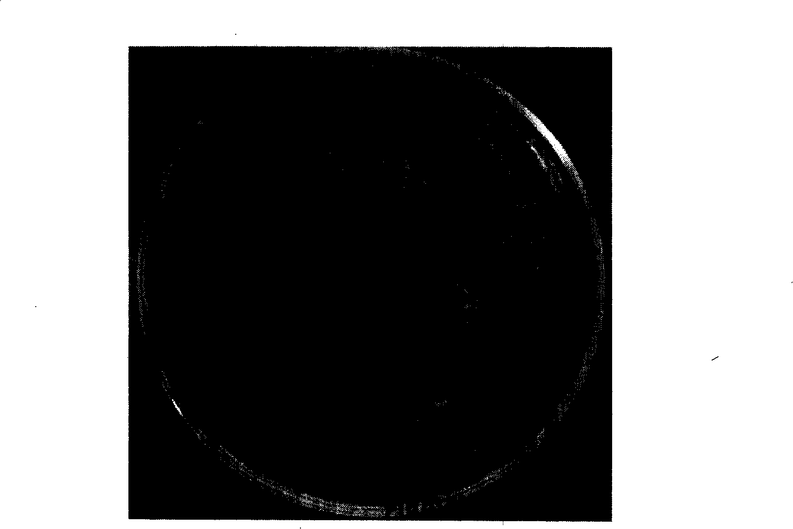 Radix astragali seed agent and clothing method thereof