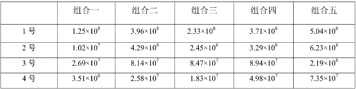 Fermented jujube food used for tonifying Qi and blood and preparation method thereof