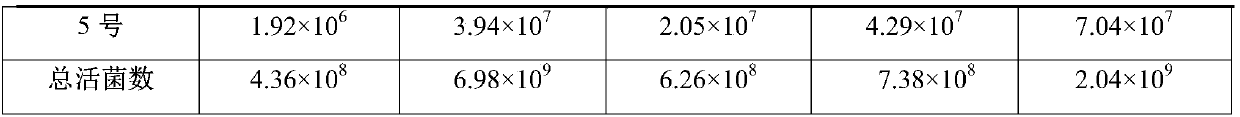 Fermented jujube food used for tonifying Qi and blood and preparation method thereof