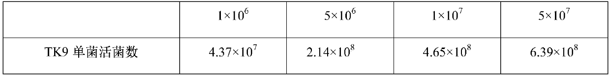 Fermented jujube food used for tonifying Qi and blood and preparation method thereof