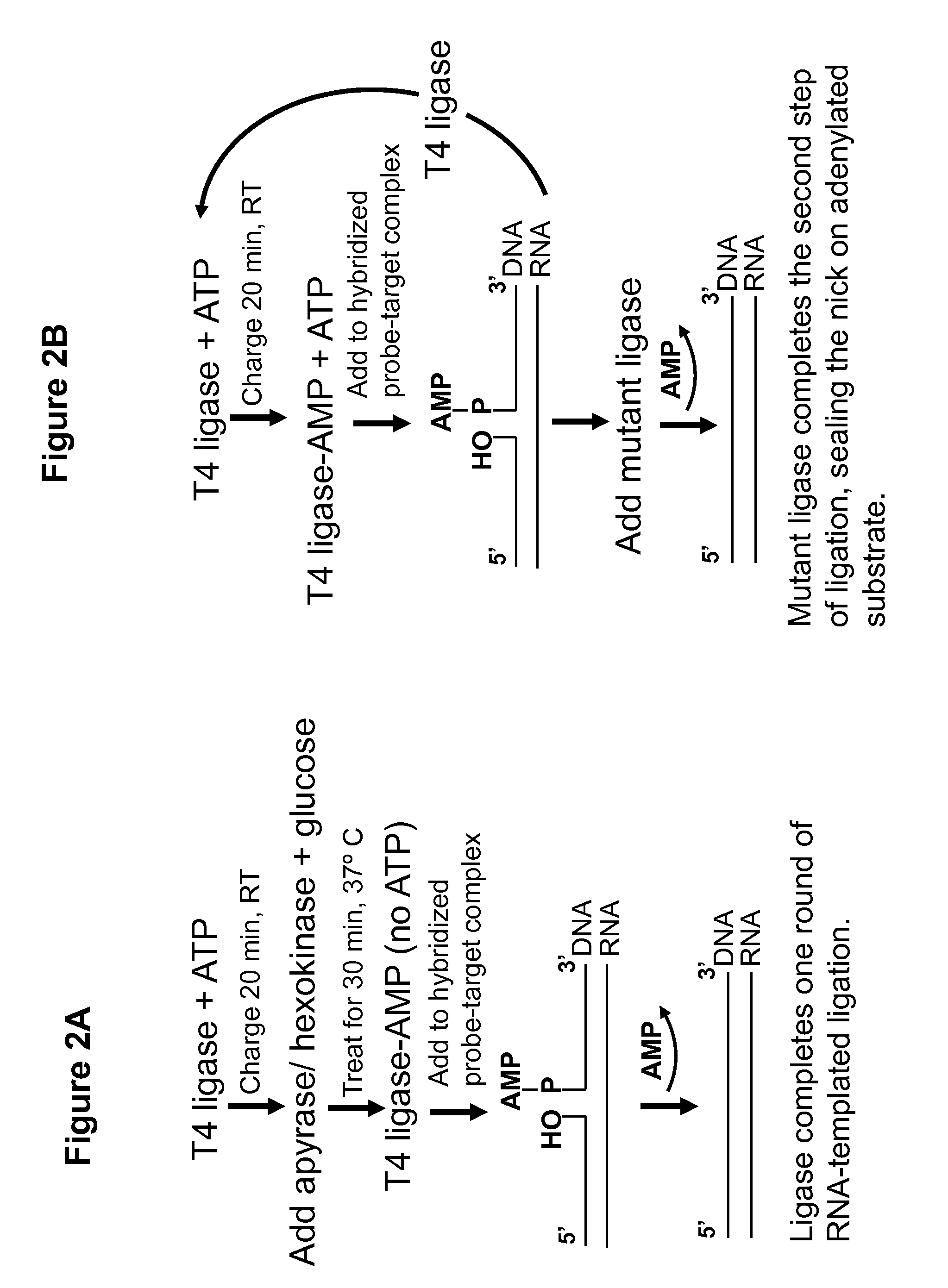 DNA ligation on RNA template