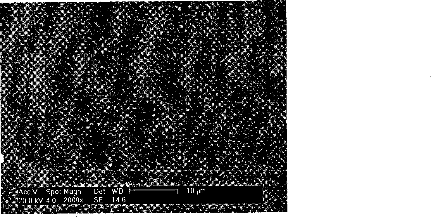 Method for preparing facilitated transport membrane containing polyallylamine for separating acid gas