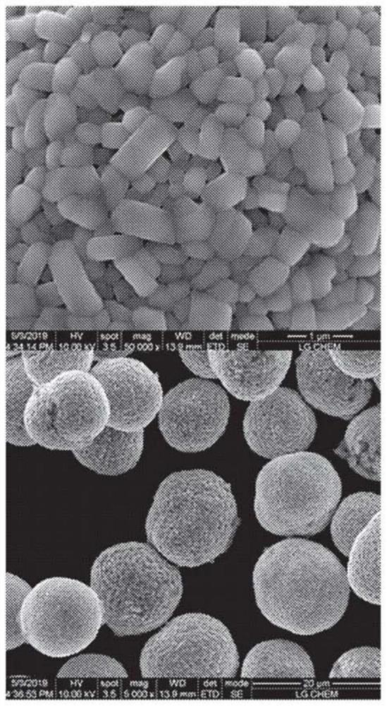 Cathode active material precursor for secondary battery, preparation method therefor, and method for preparing cathode active material