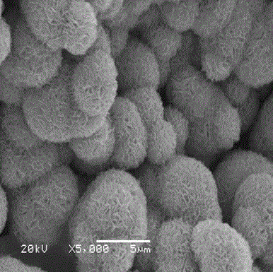 Method for improving friction and wear performance of thermal-sprayed Al2O3 ceramic coating