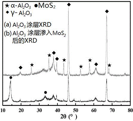 Method for improving friction and wear performance of thermal-sprayed Al2O3 ceramic coating