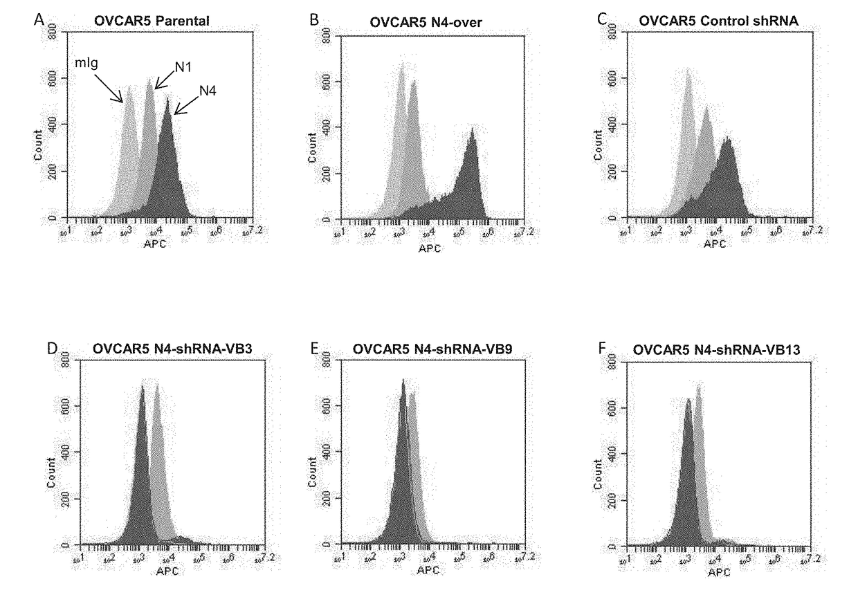 Inhibitors of cell adhesion