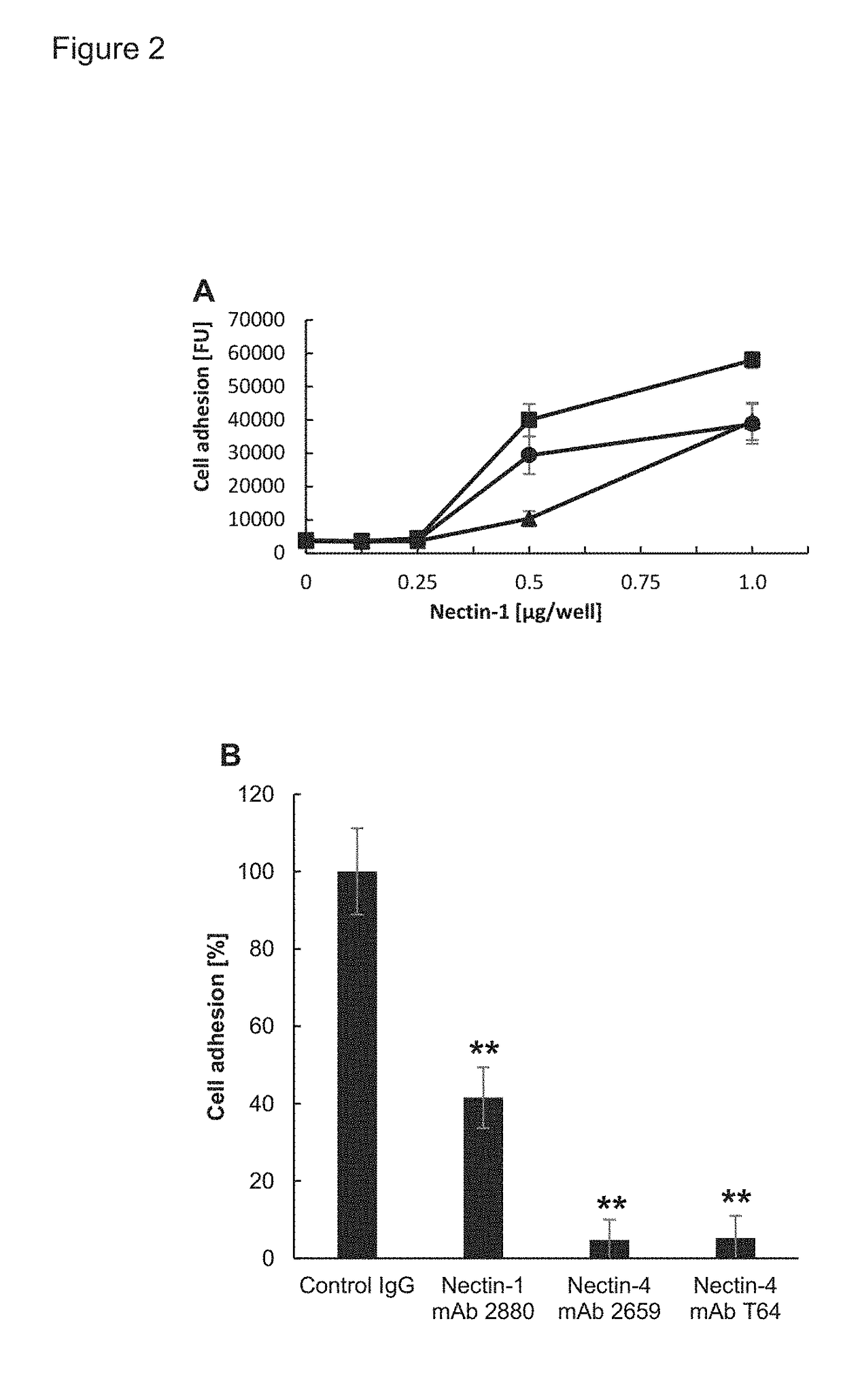 Inhibitors of cell adhesion