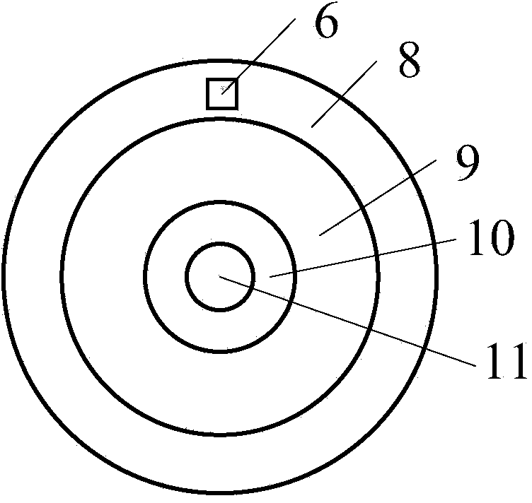 Wearable real-time electrical signal acquisition device