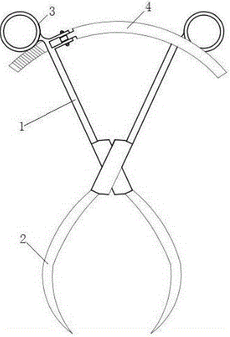 Antislide minimally invasive multipoint reset forceps