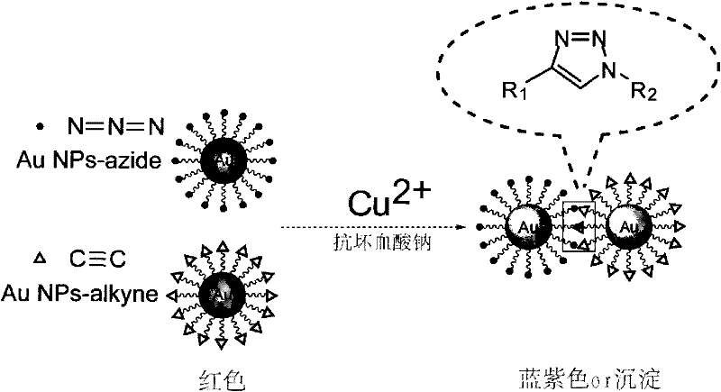 Method, kit and application of copper oxide nanoparticle-labeled antibody