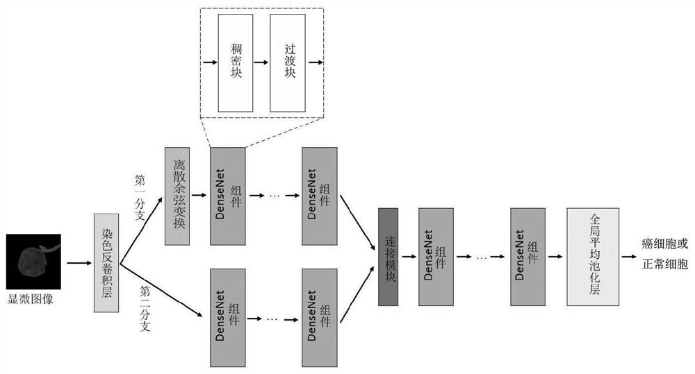 Leukemia cell microscopic image classification method and system based on DenseNet